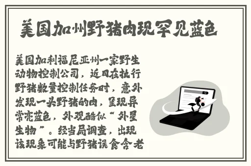 樱桃mw2310